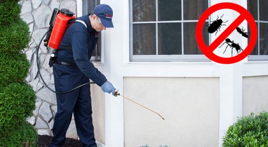 Karşıyaka Böcek ve Haşere İlaçlama böcek ilaçlama ve haşere kontrolü — ilaclama-tr.com